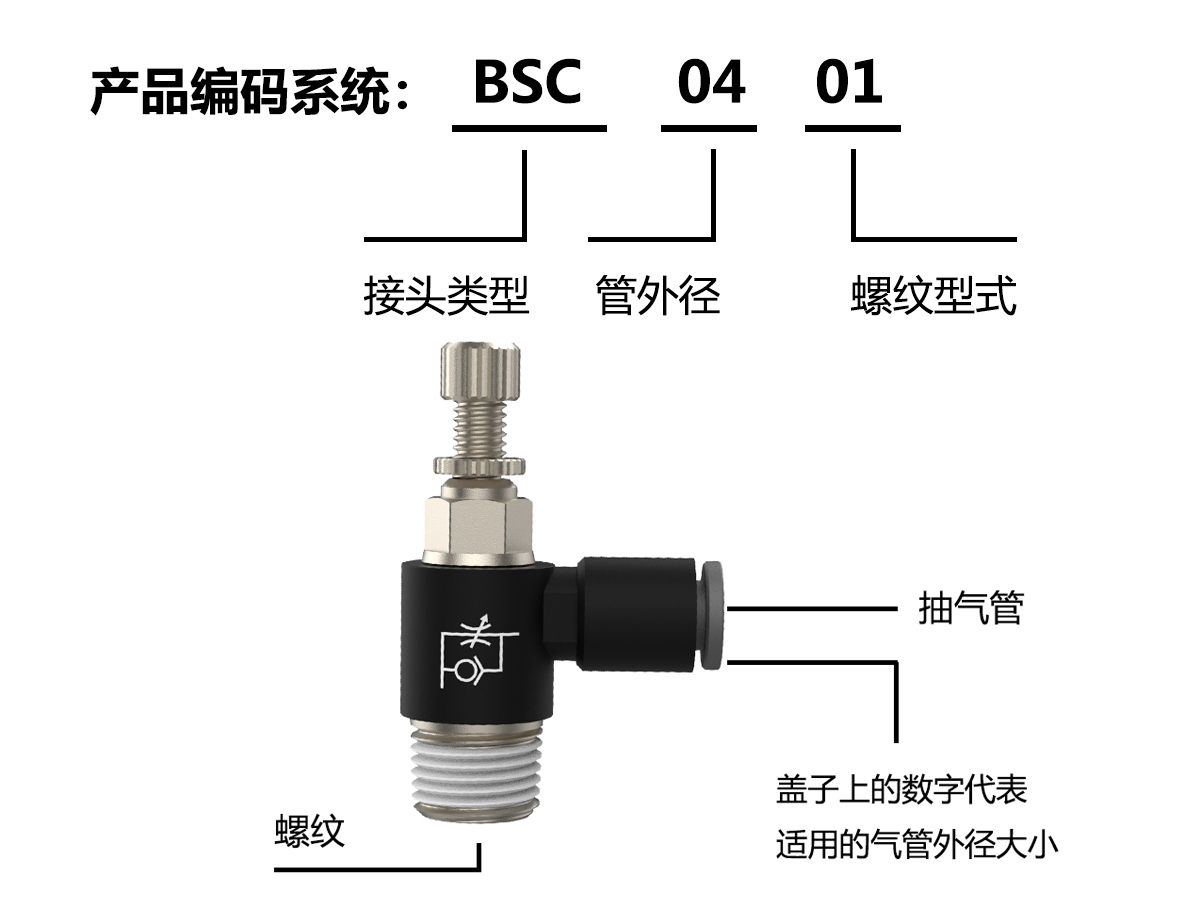 BSL编码系统