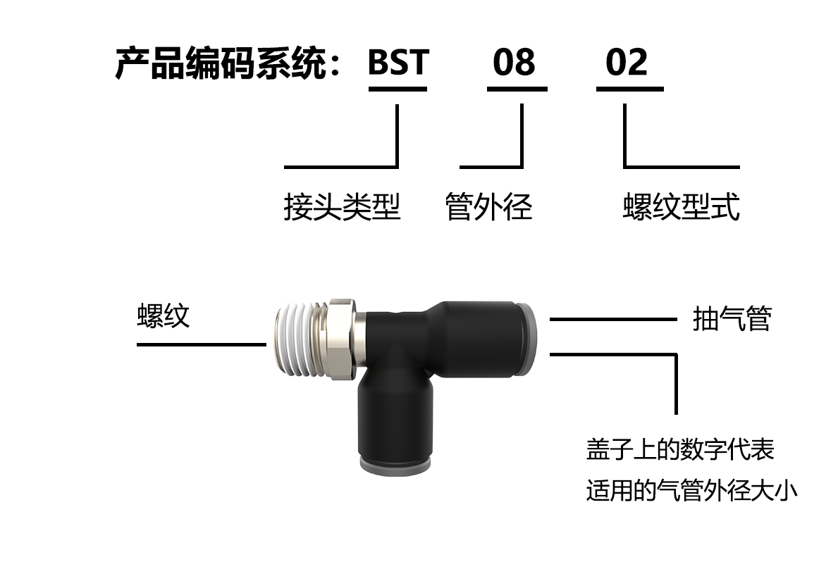 BST编码系统