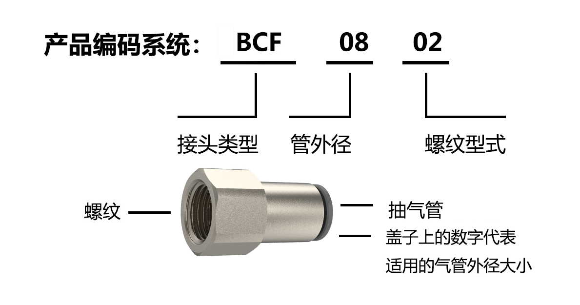 BCF14编码系统